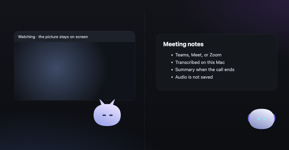 Kitsu watching a film, and Nova beside meeting notes